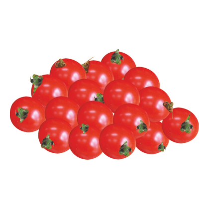 Tomato (Small)-Products-Known-You Seed India